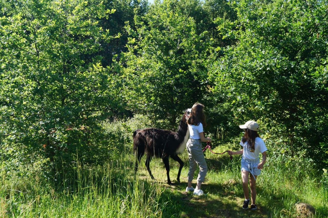 The Llama Farm France Saint-Cyr-Les-Champagnes Exterior foto